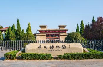 亳州_刘伯温6374cm刘伯温十开奖168,撕开面具曝光、全面解答与解释